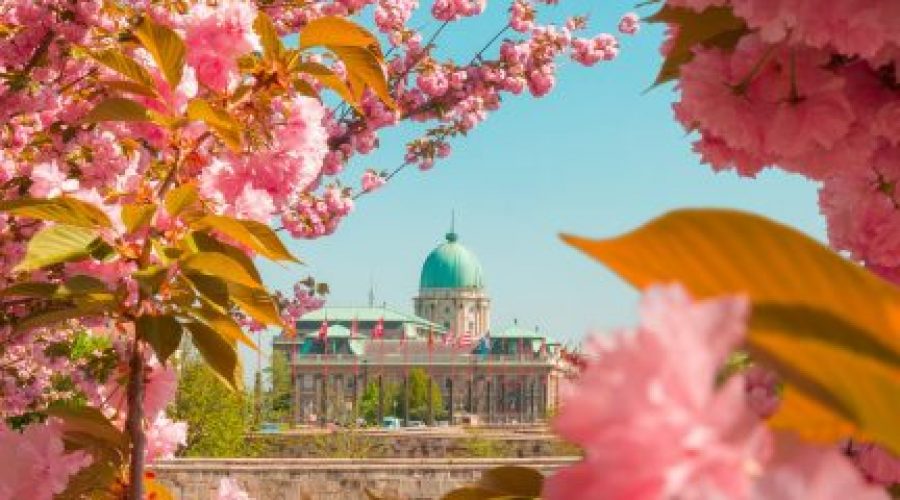 Spring in Budapest
