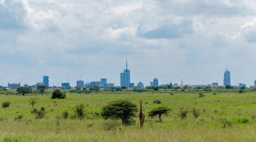 Top Things to Do and See in Nairobi